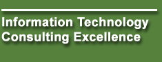 information technology consulting  excellence